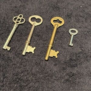Skeleton Keys. 4 keys.